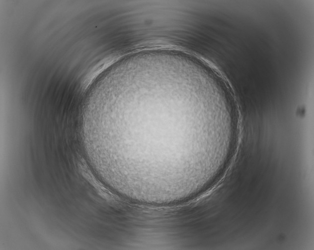 X0000115090873200912081232