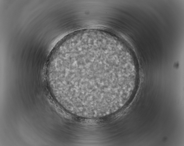 X0000115090875200912081232