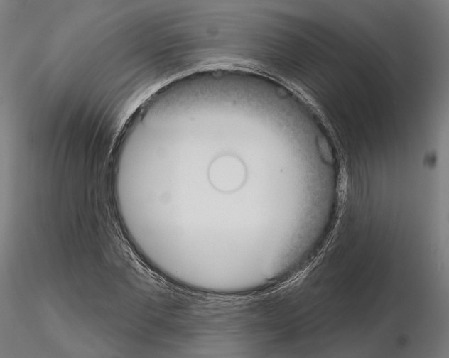 X0000115090877200912081232