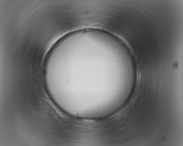 X0000115090878200912081232