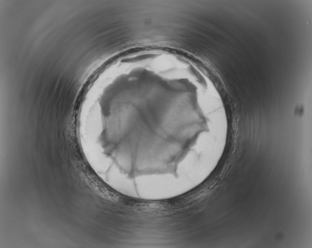 X0000115090879200912081232
