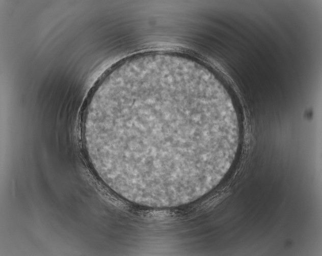 X0000115090883200912081232
