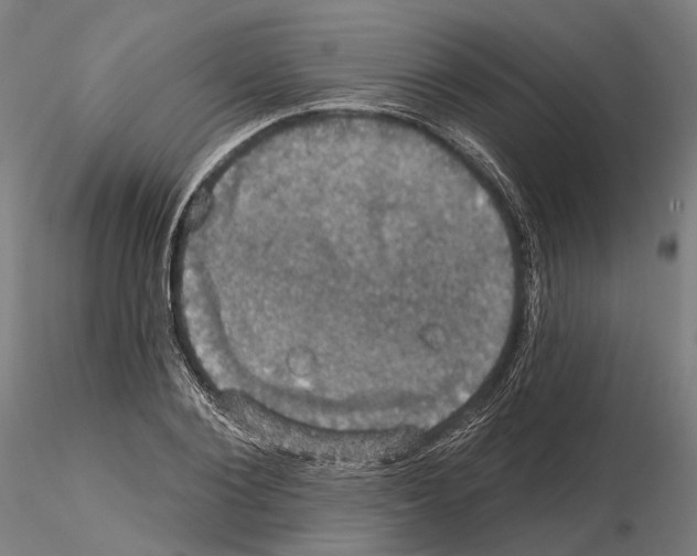 X0000115090884200912081232