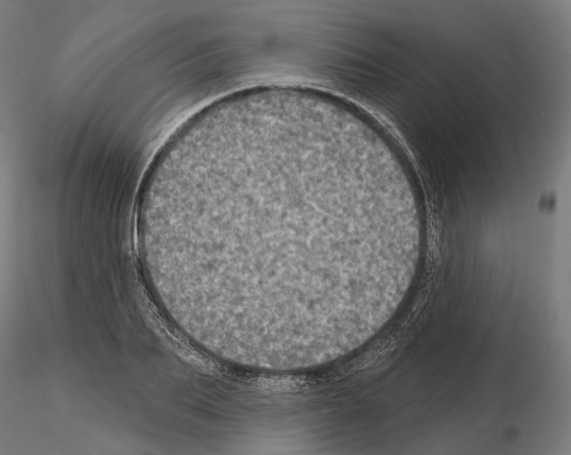 X0000115090887200912081232