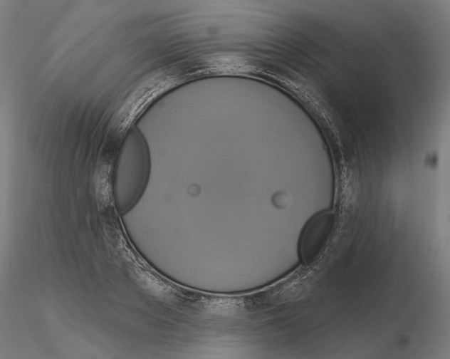 X0000115090889200912081232
