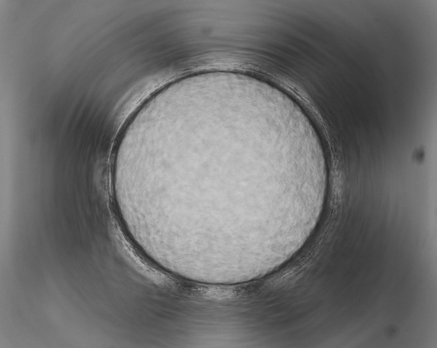 X0000115090890200912081232