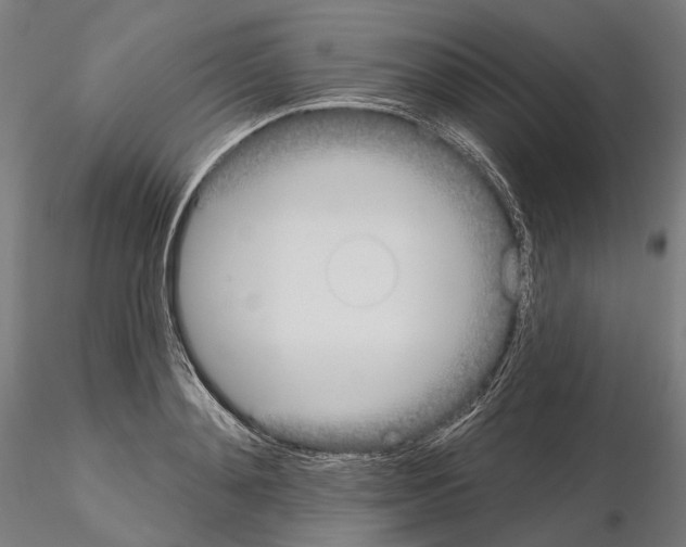 X0000115090892200912081232