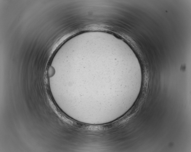 X0000115090893200912081232