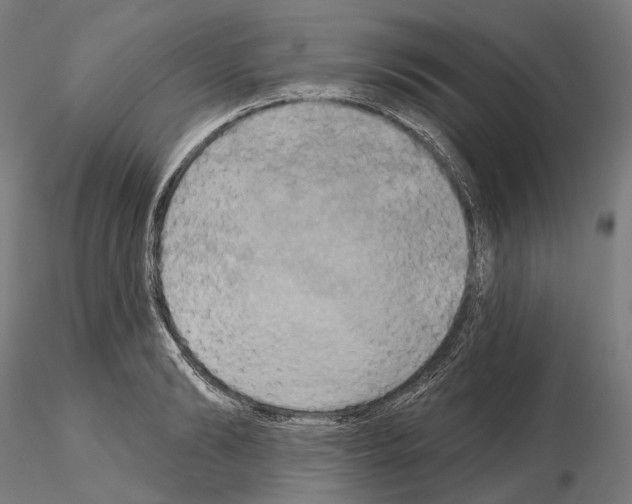 X0000115090894200912081232