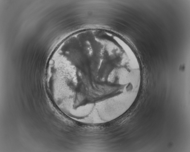 X0000115090895200912081232