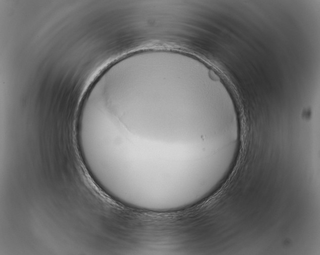 X0000115090896200912081232