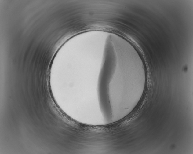 X0000115090899200912081232