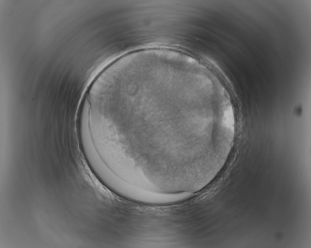 X0000115090900200912081232