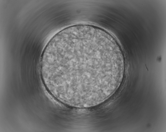 X0000115090903200912081232