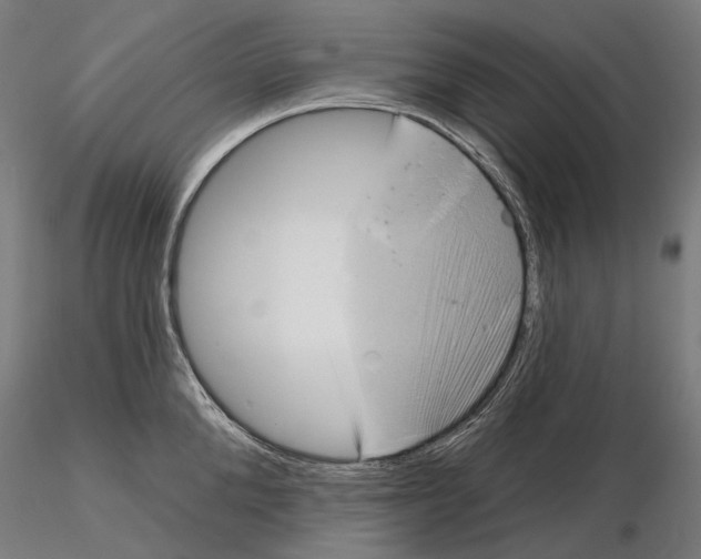 X0000115090904200912081232