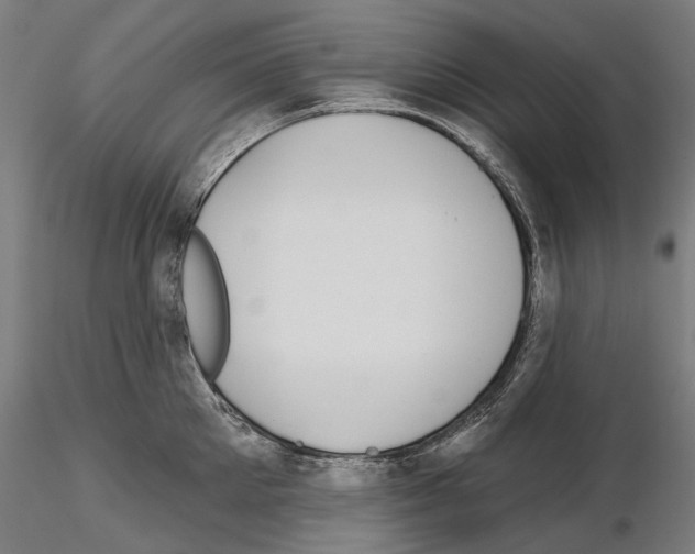 X0000115090905200912081232