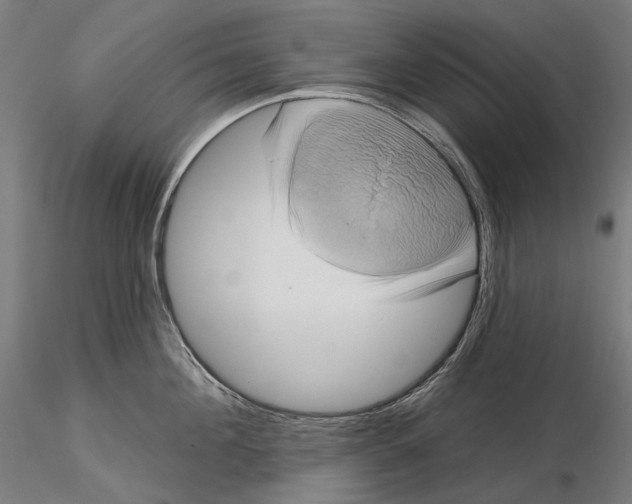 X0000115090908200912081232