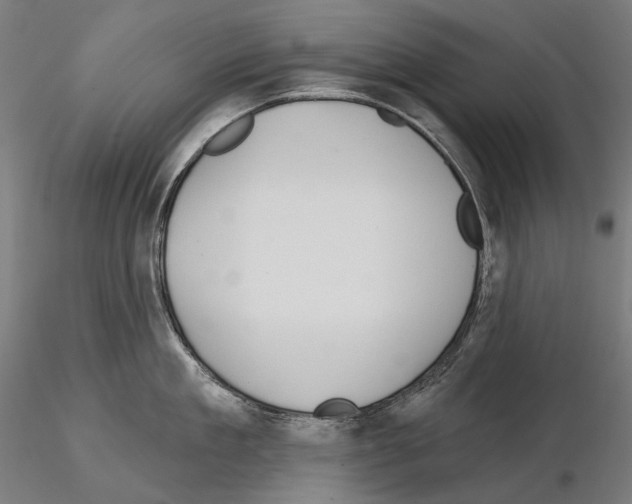 X0000115090909200912081232