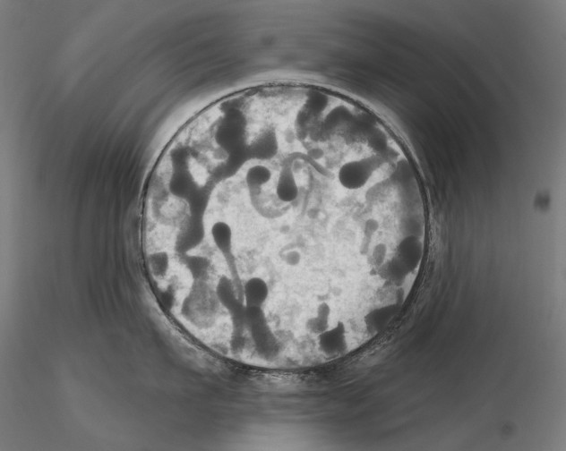 X0000115090911200912081232