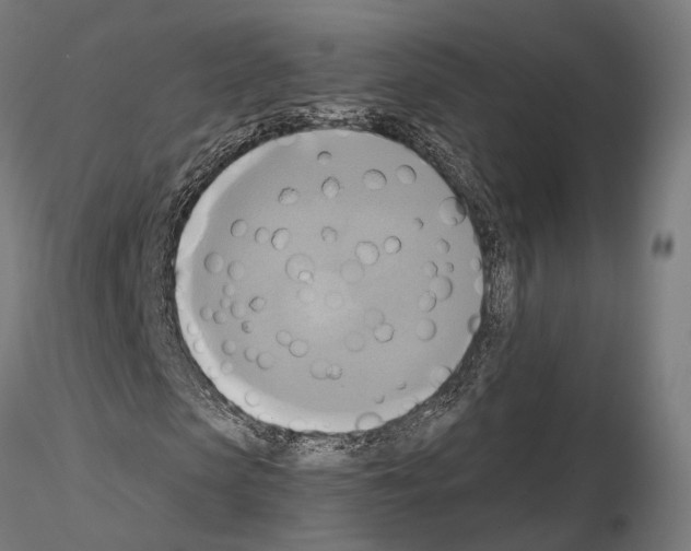 X0000115090913200912081231