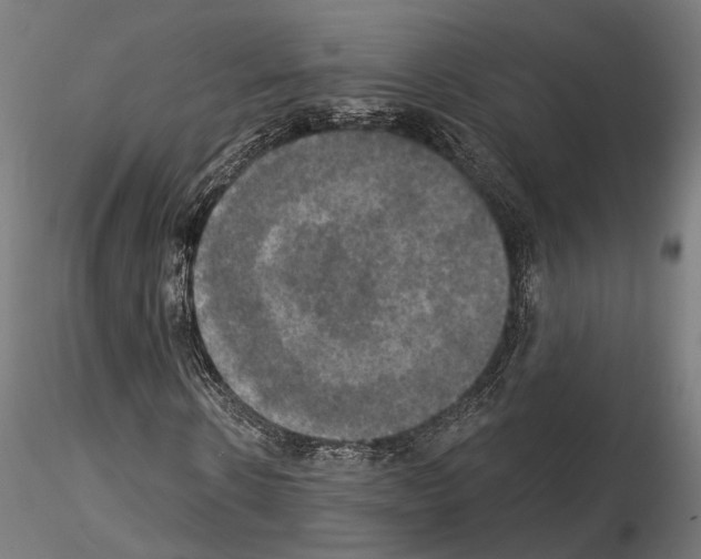 X0000115090914200912081231