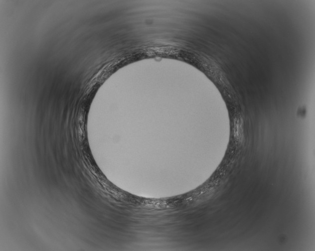 X0000115090915200912081231