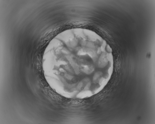 X0000115090917200912081231