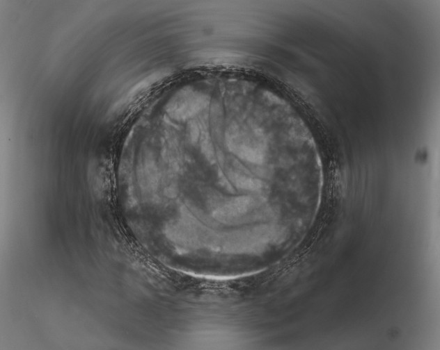 X0000115090918200912081231