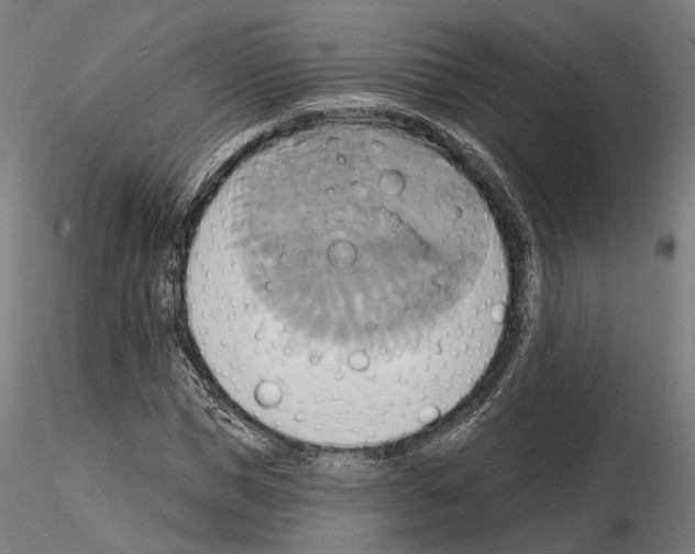 X0000115090921200912081231