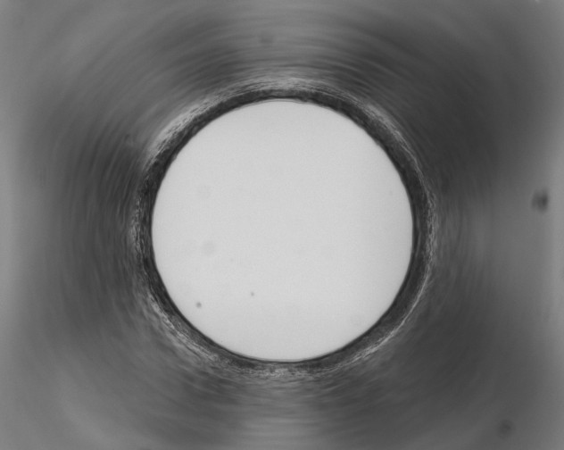 X0000115090922200912081231