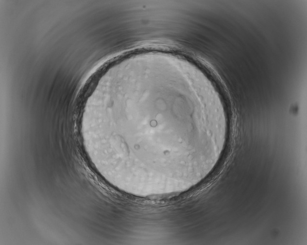 X0000115090923200912081231