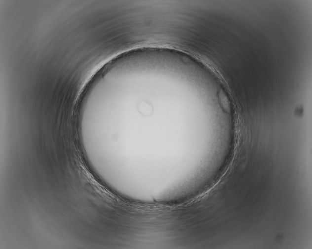 X0000115090926200912081231