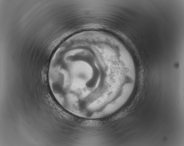 X0000115090929200912081231