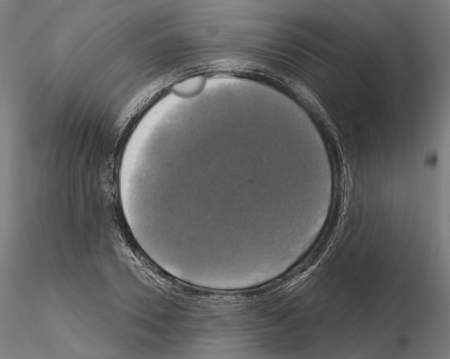 X0000115090930200912081231