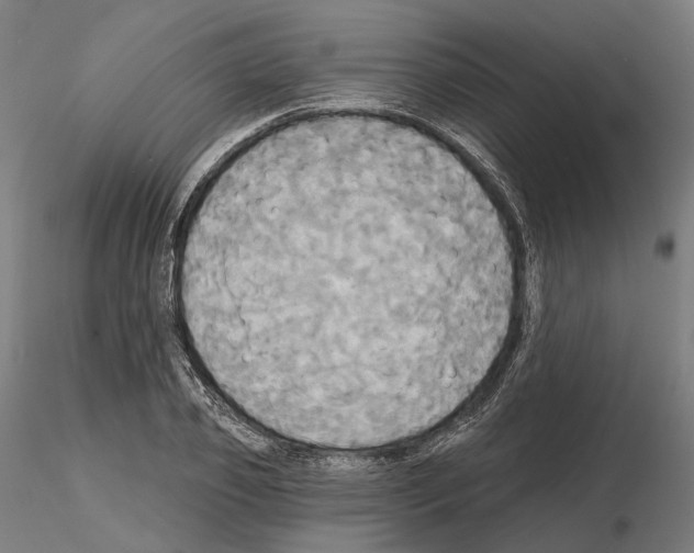 X0000115090933200912081231