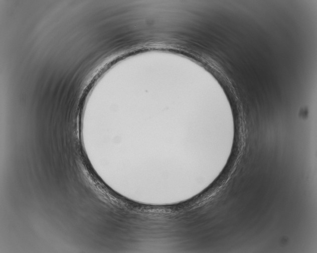 X0000115090934200912081231