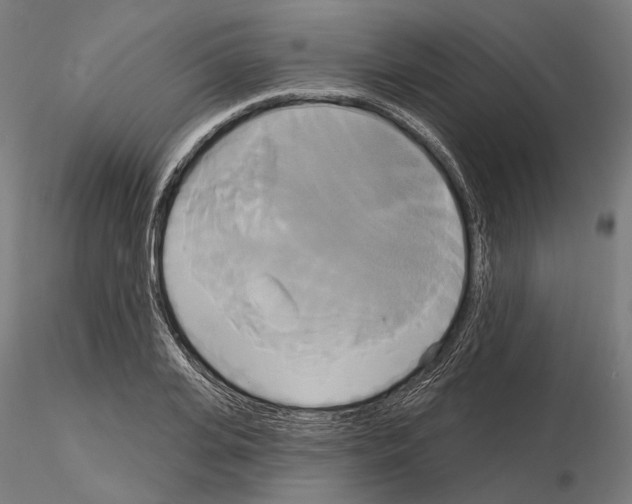 X0000115090935200912081231