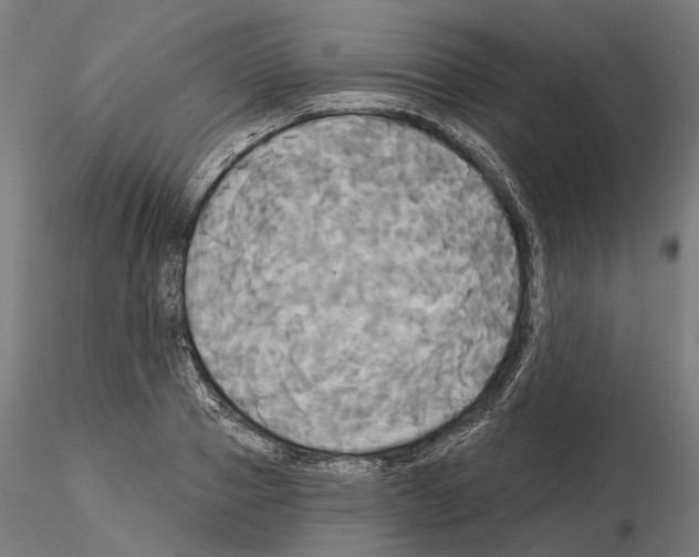 X0000115090937200912081231