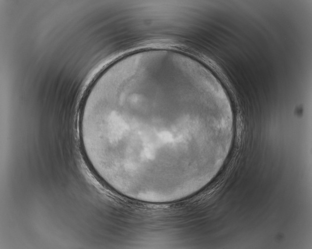 X0000115090939200912081231
