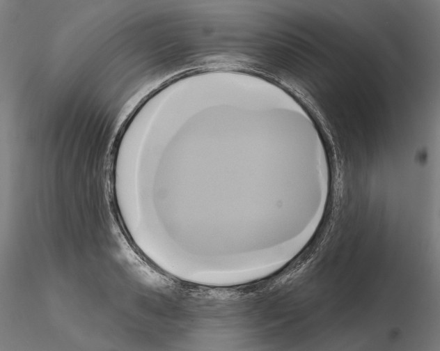 X0000115090941200912081231