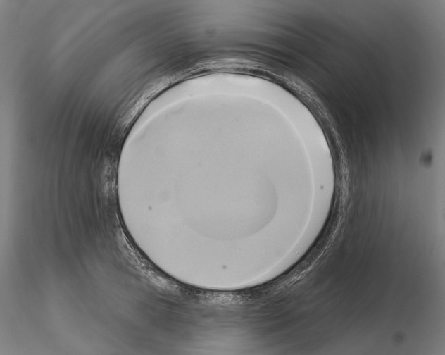 X0000115090945200912081231
