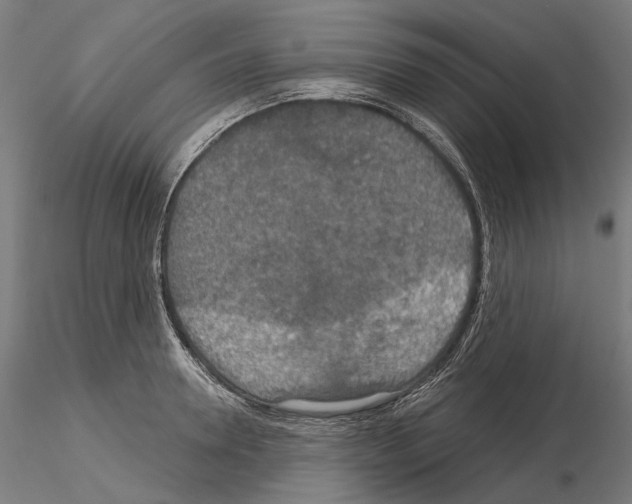 X0000115090946200912081232