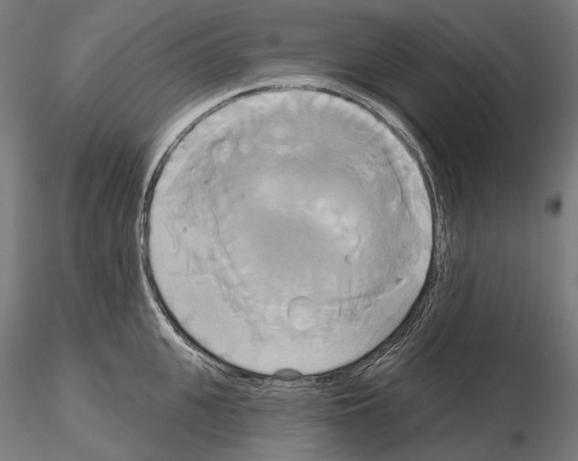 X0000115090951200912081232