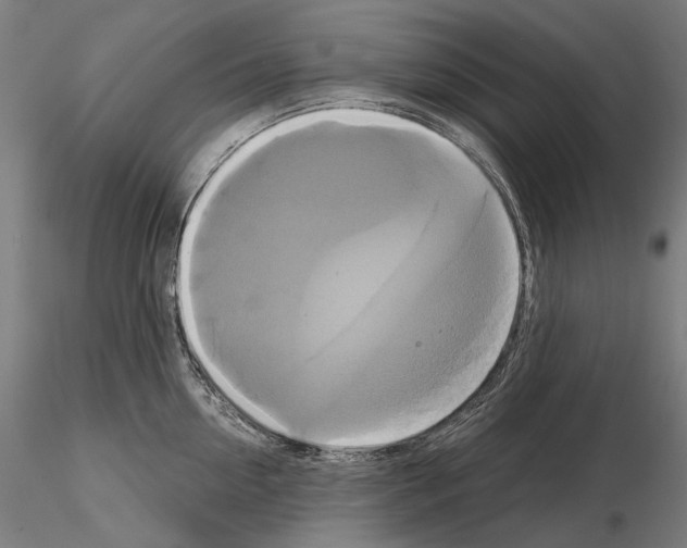 X0000115090954200912081232
