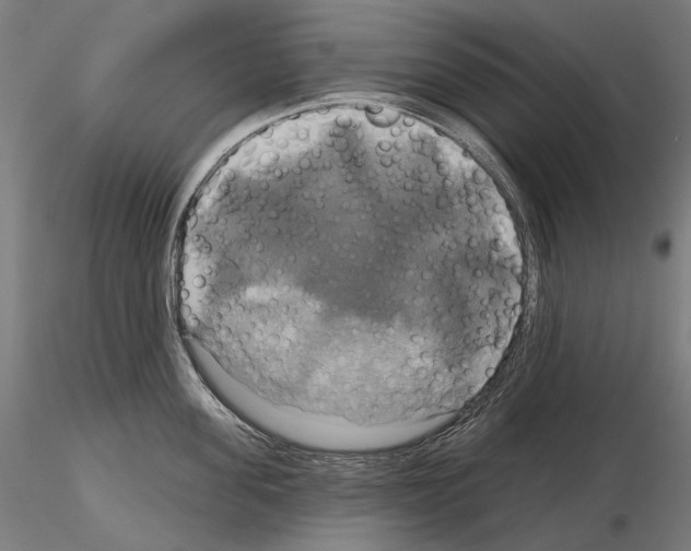 X0000115090955200912081232