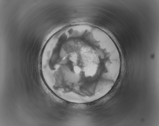 X0000115090957200912081232