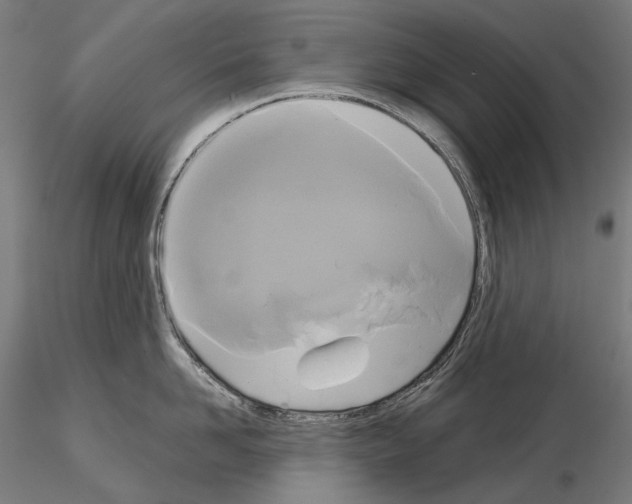 X0000115090958200912081232