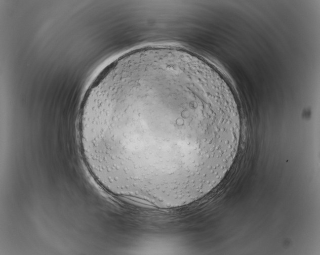 X0000115090959200912081232