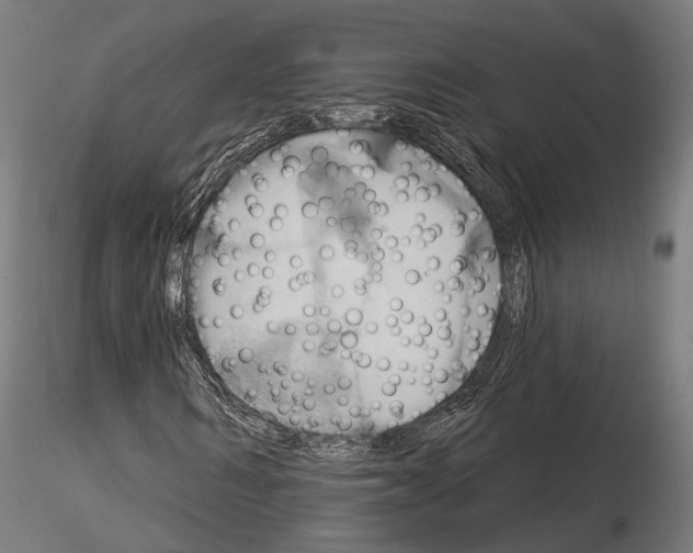 X0000115090962200912081231