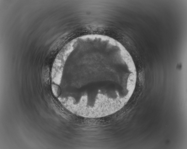 X0000115090963200912081231
